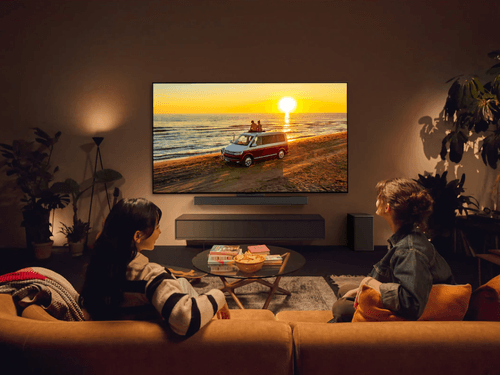 55 tommer TV