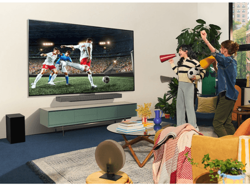 55 tommer TV