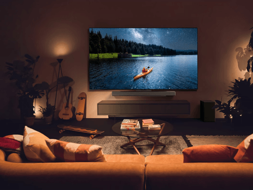 55 tommer TV